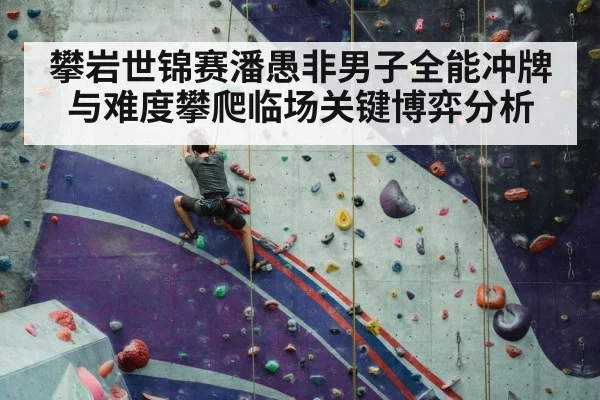sport climbing competition wall